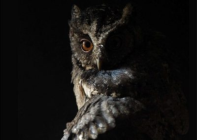 Invisible Geography – Summer 2021